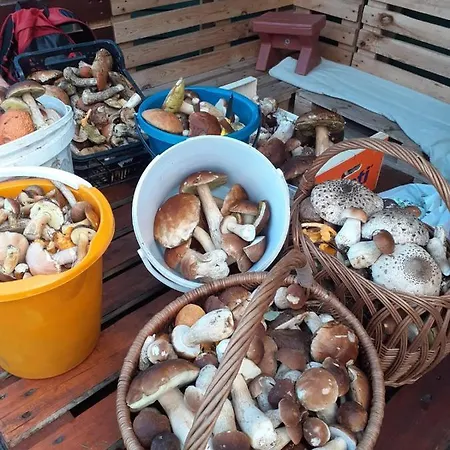 Nad Jeziorem/seehaus 2 * Letowo (West Pomeranian)