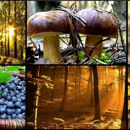 Nad Jeziorem/seehaus 2 Feriehus *